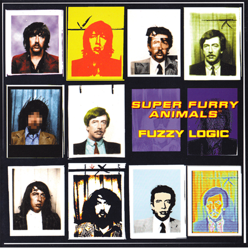 Fuzzy Logic Album Cover